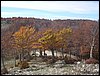 monte_autore_26ottobre 012.jpg