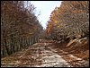 monte_autore_26ottobre 013.jpg