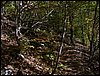 lago_duchessa 012.jpg